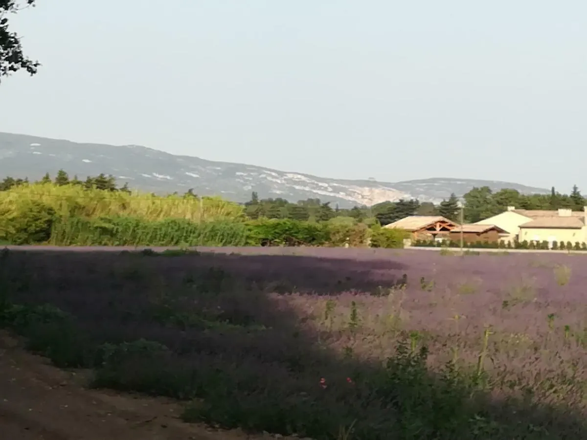 Bed and Breakfast Au Pays Du Ventoux Le Thor 0*,  Francia